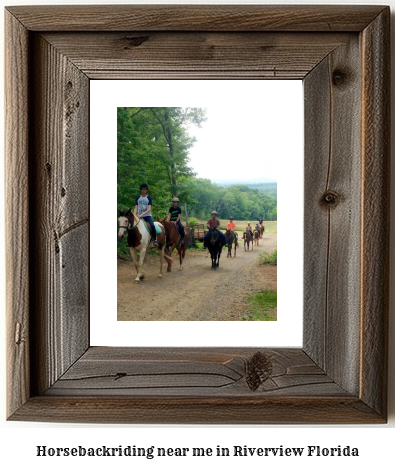 horseback riding near me in Riverview, Florida